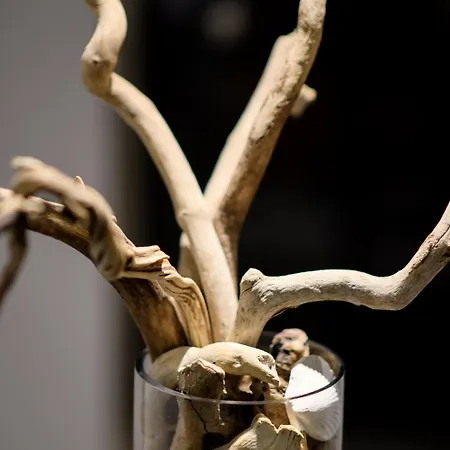 מלון Gkeea Boutique