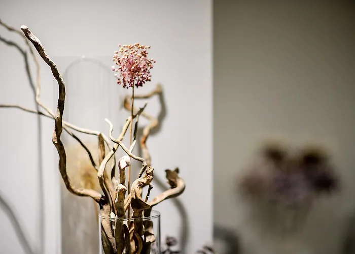 Gkeea Boutique Ierissos