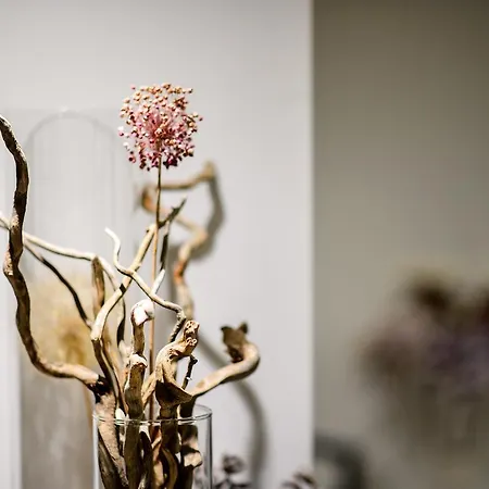 Gkeea Boutique Ierissos